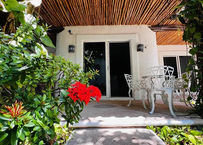 Mayan Art Hotel Boutique - 10Th Ave